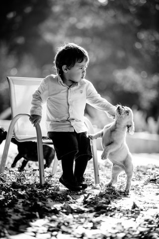 fotografo de familia e crianças - Rui Cardoso Photography